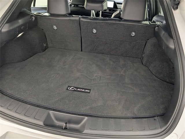 2024 Lexus UX UX 250h