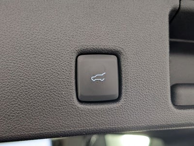 2024 Ford Escape ST-Line Select