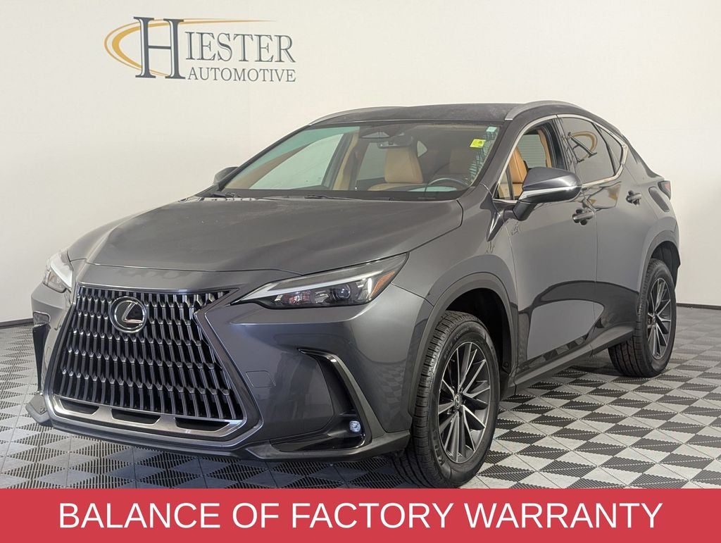 2024 Lexus NX 250 Base