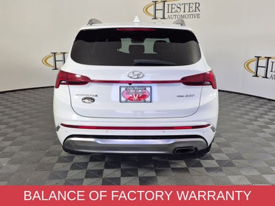 2023 Hyundai Santa Fe Calligraphy