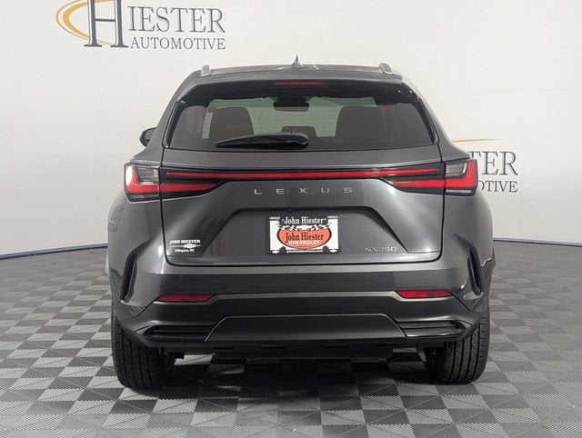 2024 Lexus NX NX 250