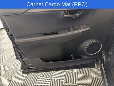2021 Lexus NX 300 NX 300